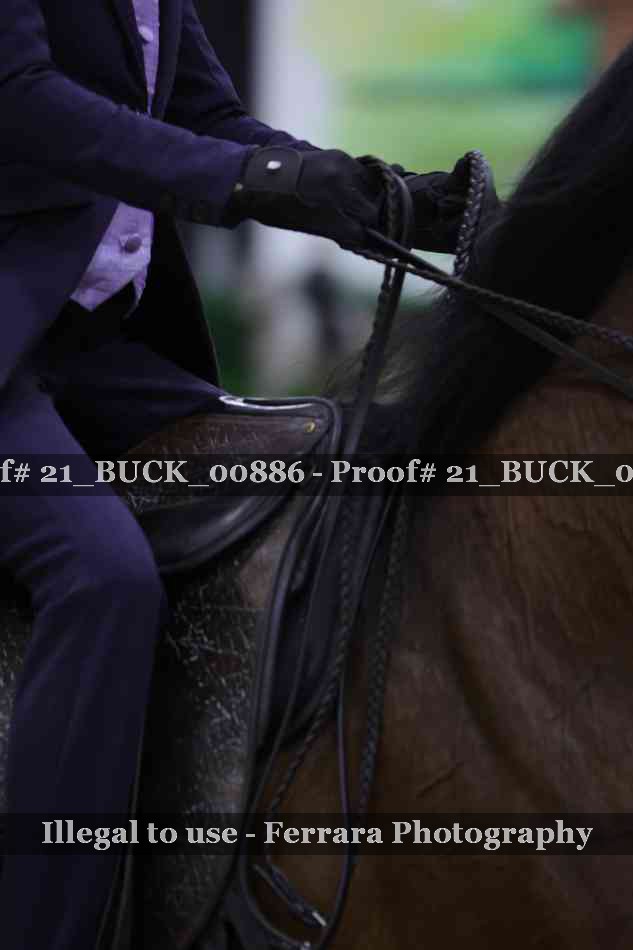 Proof Number 21_BUCK_00886