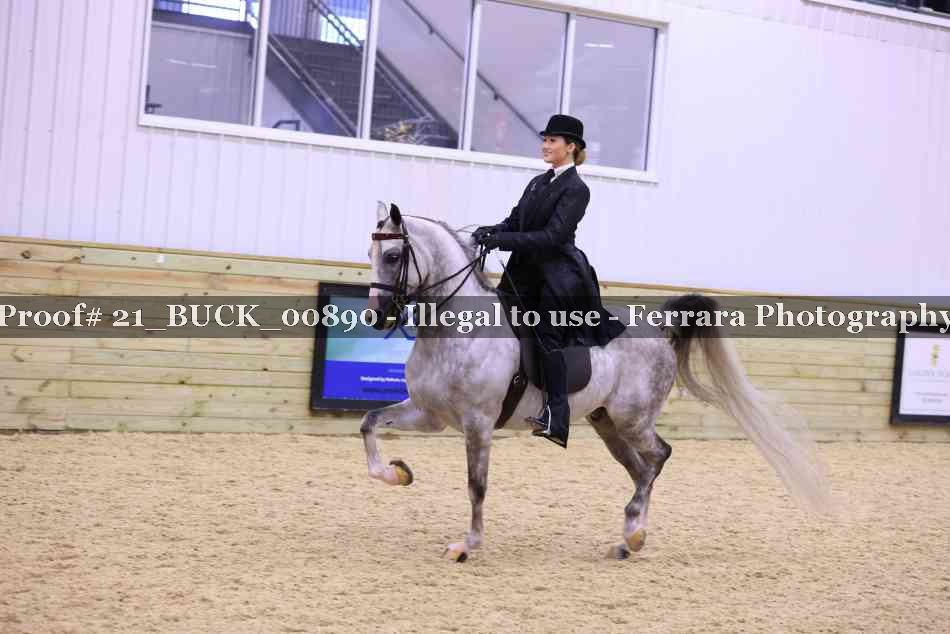 Proof Number 21_BUCK_00890