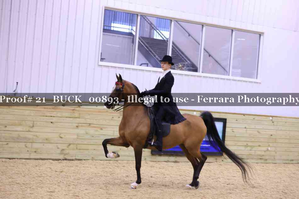 Proof Number 21_BUCK_00893