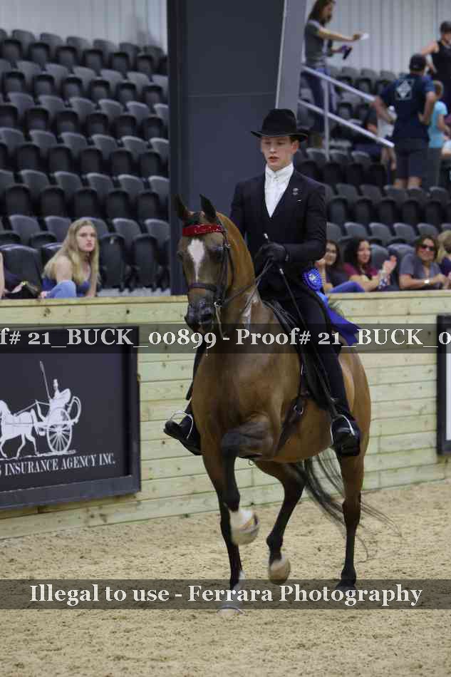 Proof Number 21_BUCK_00899