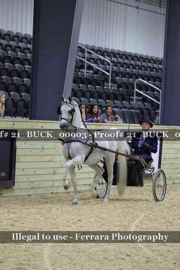 Proof Number 21_BUCK_00903