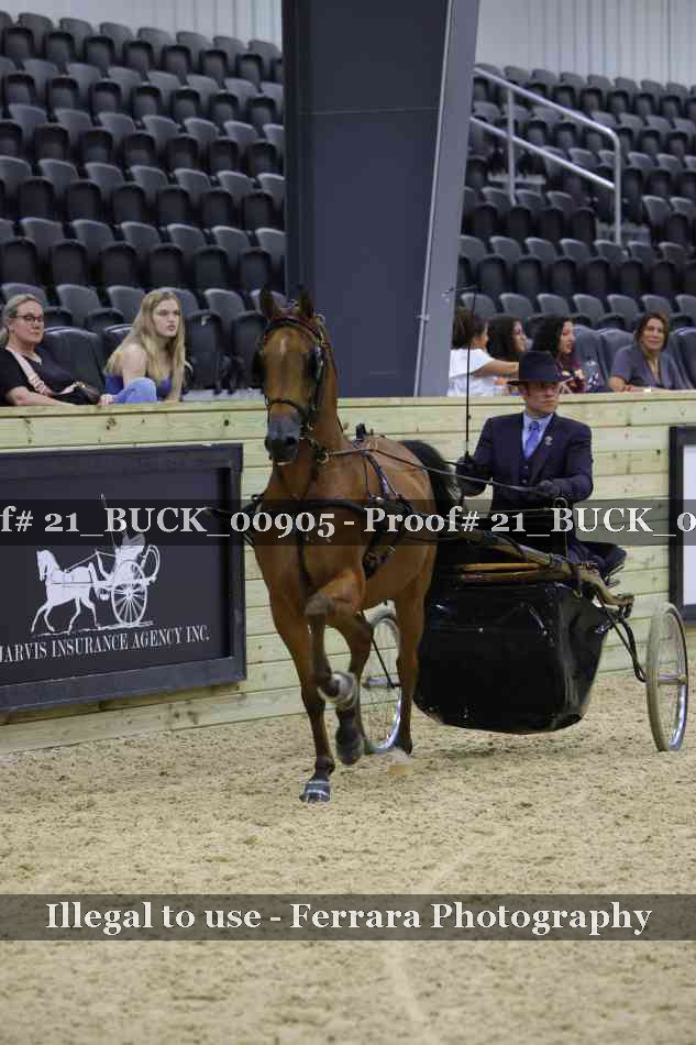 Proof Number 21_BUCK_00905