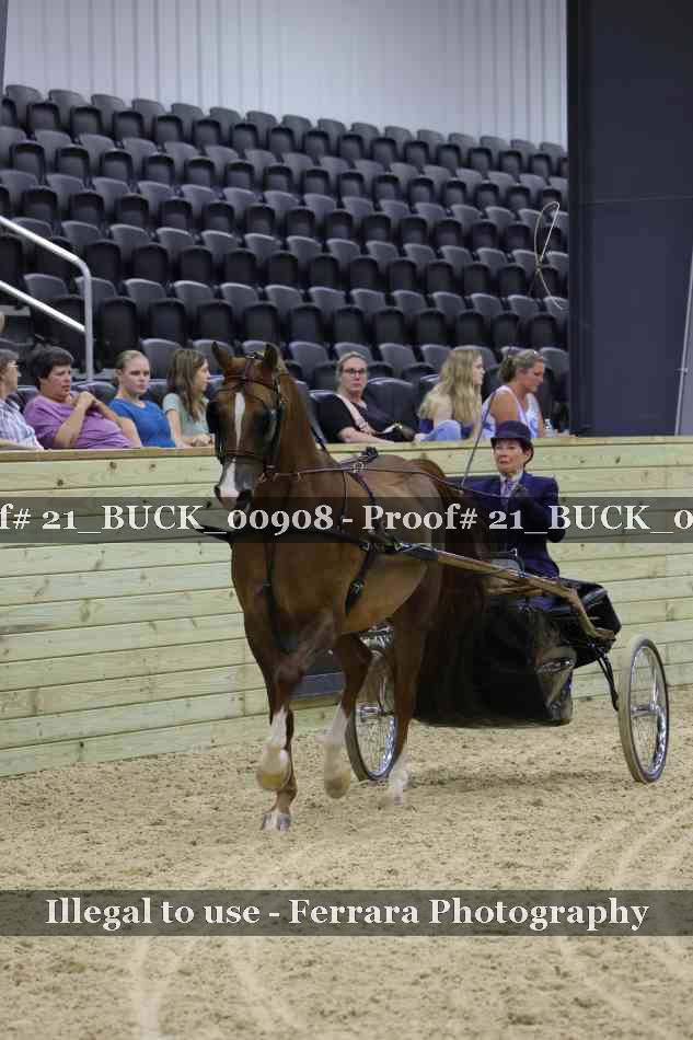 Proof Number 21_BUCK_00908