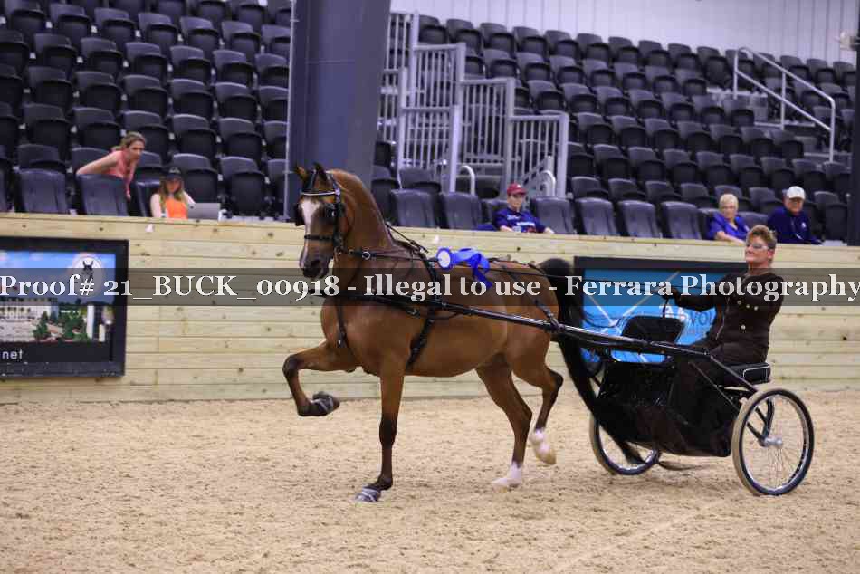 Proof Number 21_BUCK_00918