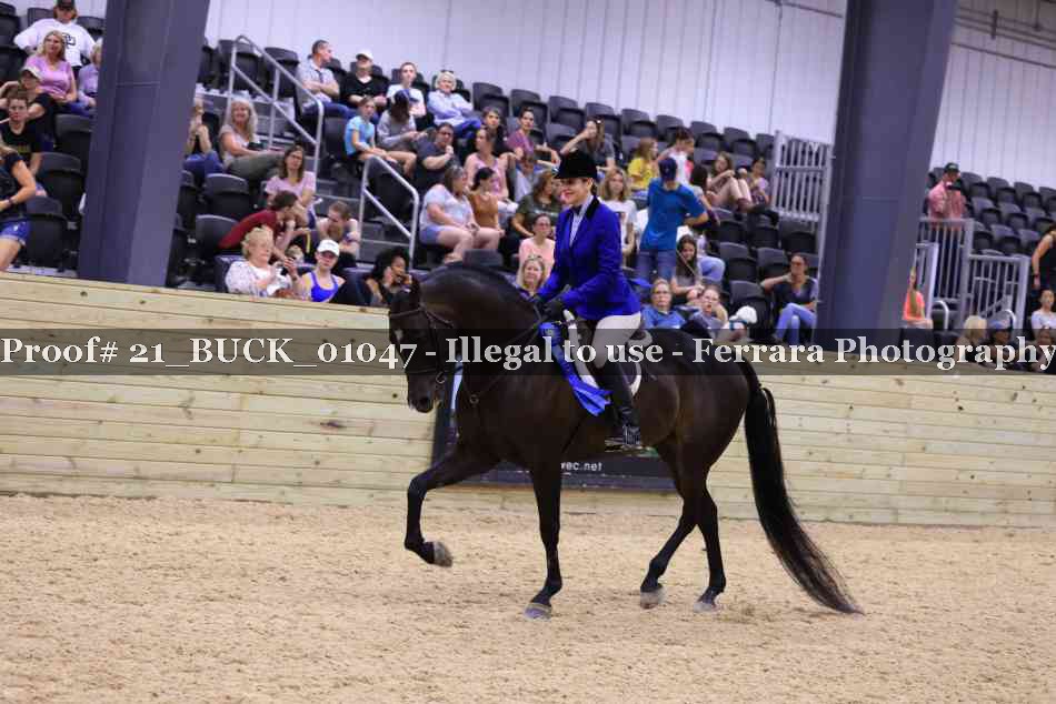 Proof Number 21_BUCK_01047