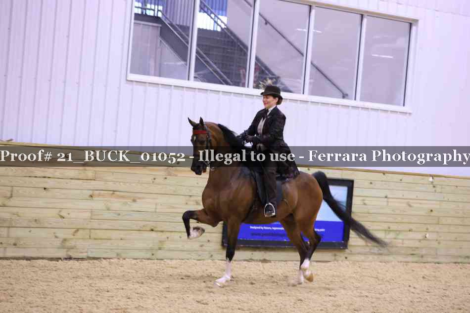 Proof Number 21_BUCK_01052