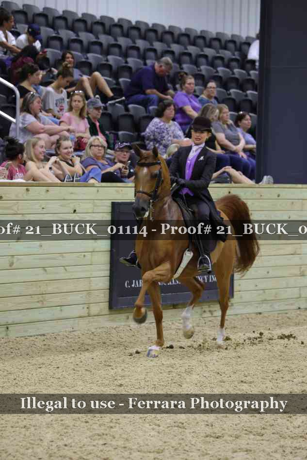 Proof Number 21_BUCK_01114