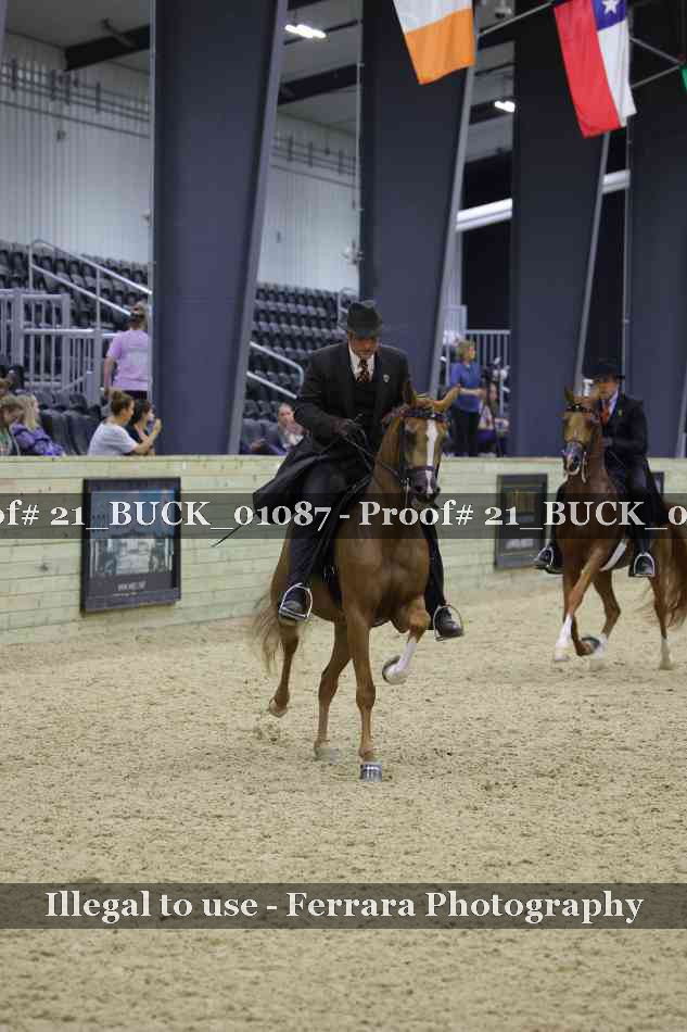 Proof Number 21_BUCK_01087
