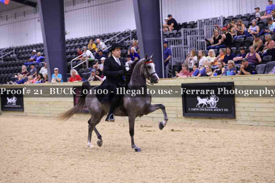Proof Number 21_BUCK_01100