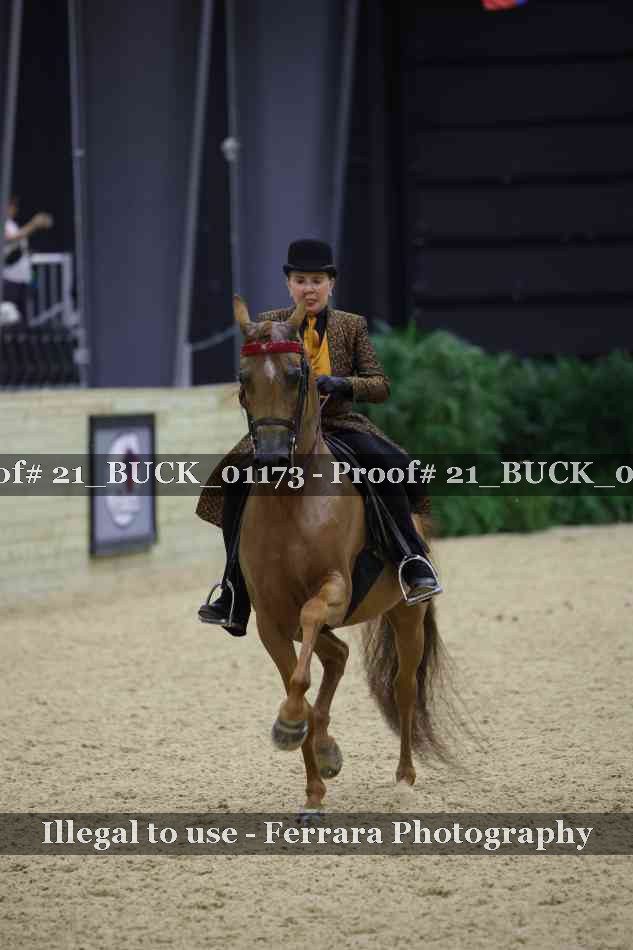 Proof Number 21_BUCK_01173