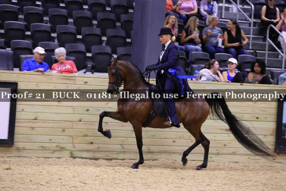 Proof Number 21_BUCK_01181