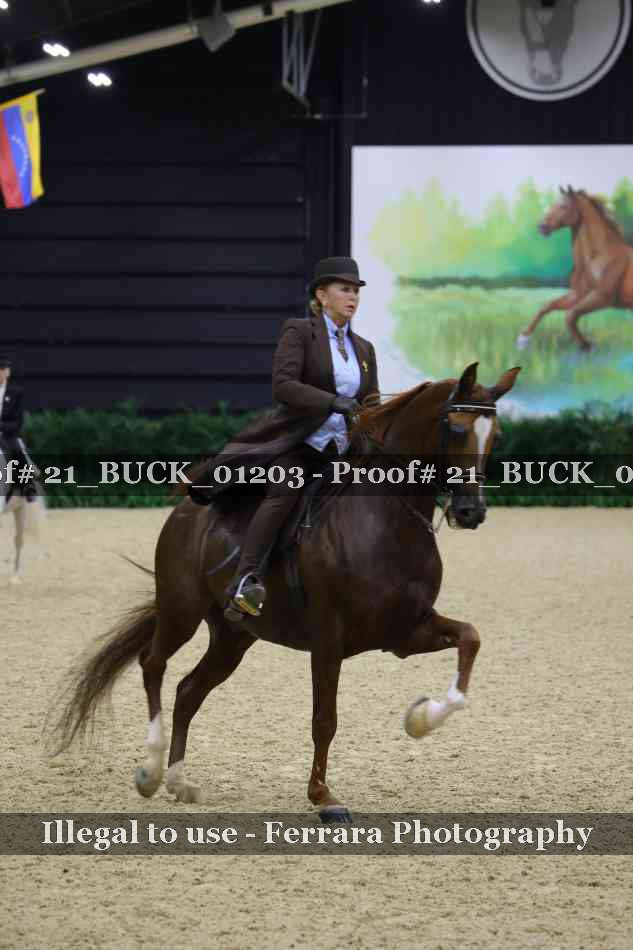 Proof Number 21_BUCK_01203