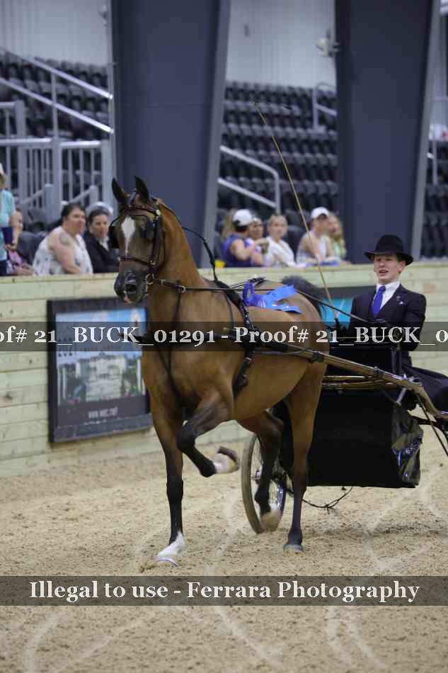 Proof Number 21_BUCK_01291