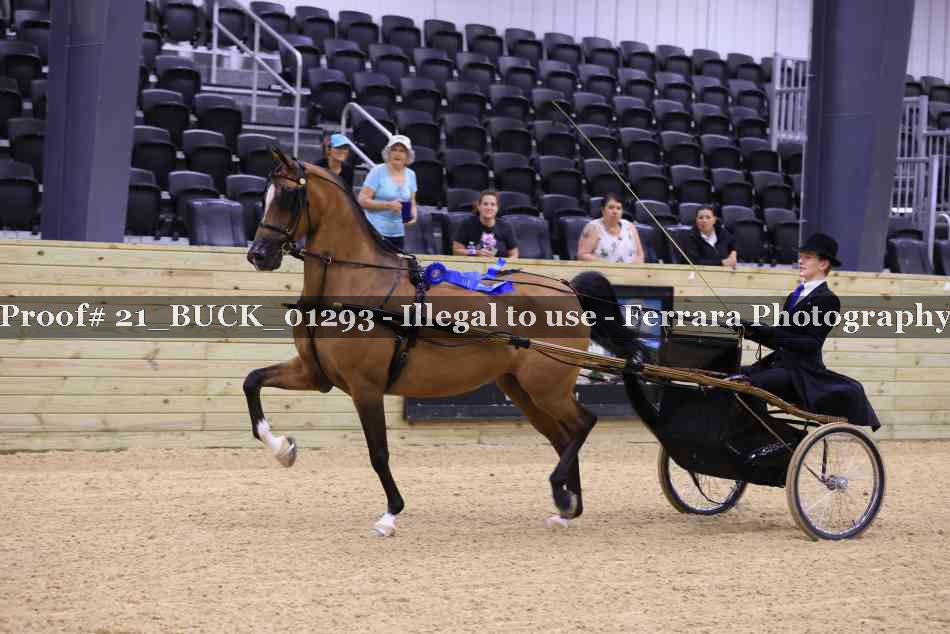 Proof Number 21_BUCK_01293