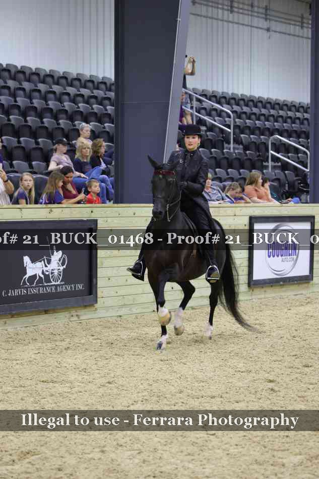 Proof Number 21_BUCK_01468