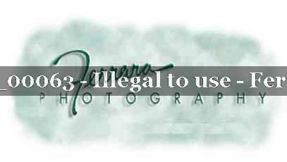 Proof Number 21_BUCK_00063