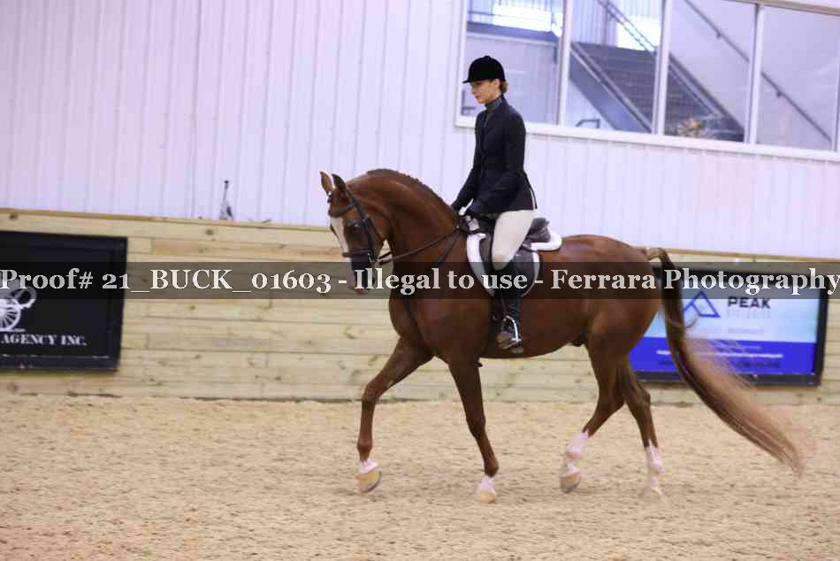 Proof Number 21_BUCK_01603