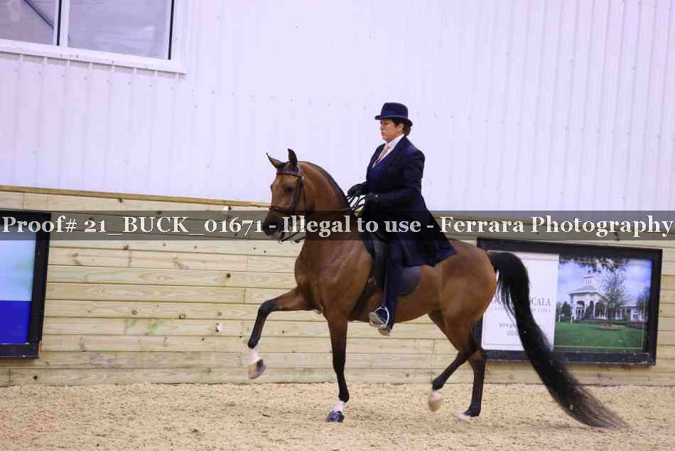 Proof Number 21_BUCK_01671