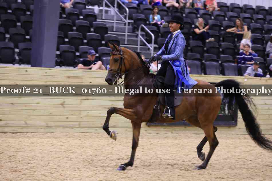 Proof Number 21_BUCK_01760