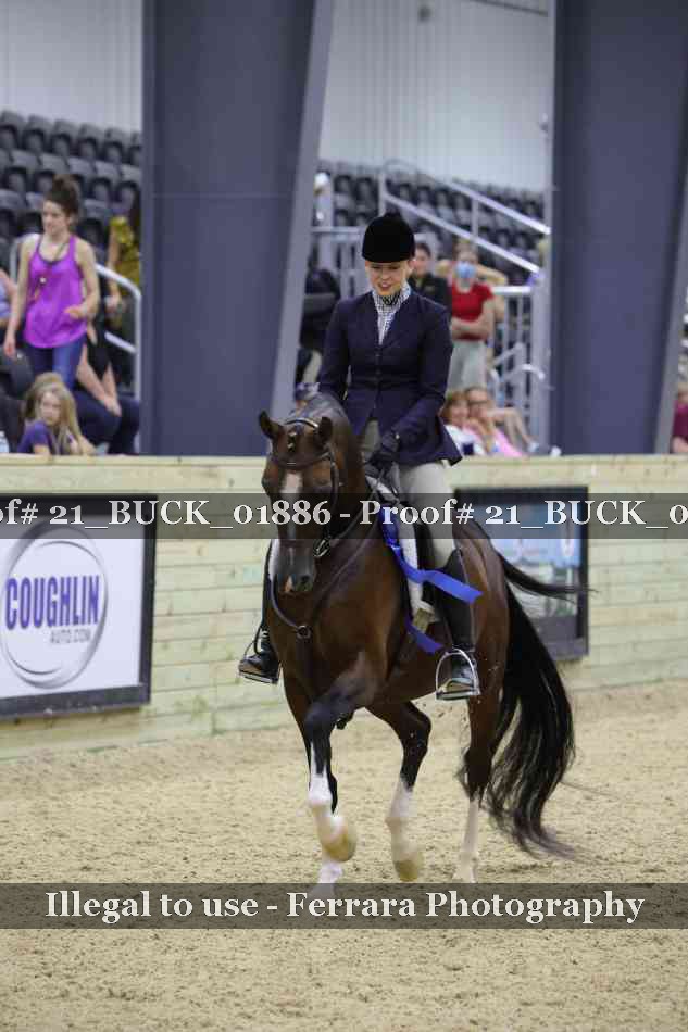 Proof Number 21_BUCK_01886