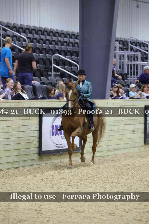Proof Number 21_BUCK_01893