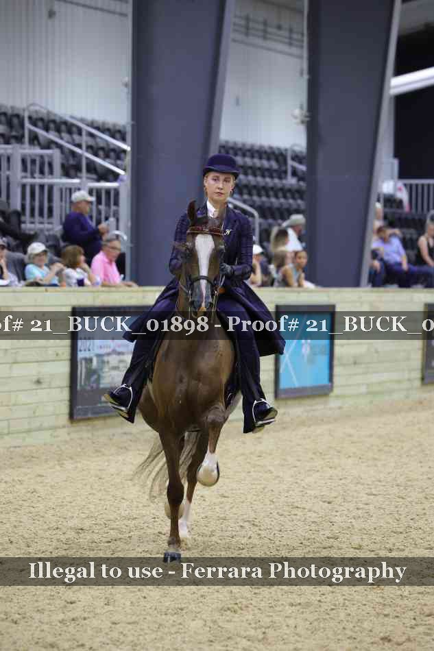 Proof Number 21_BUCK_01898