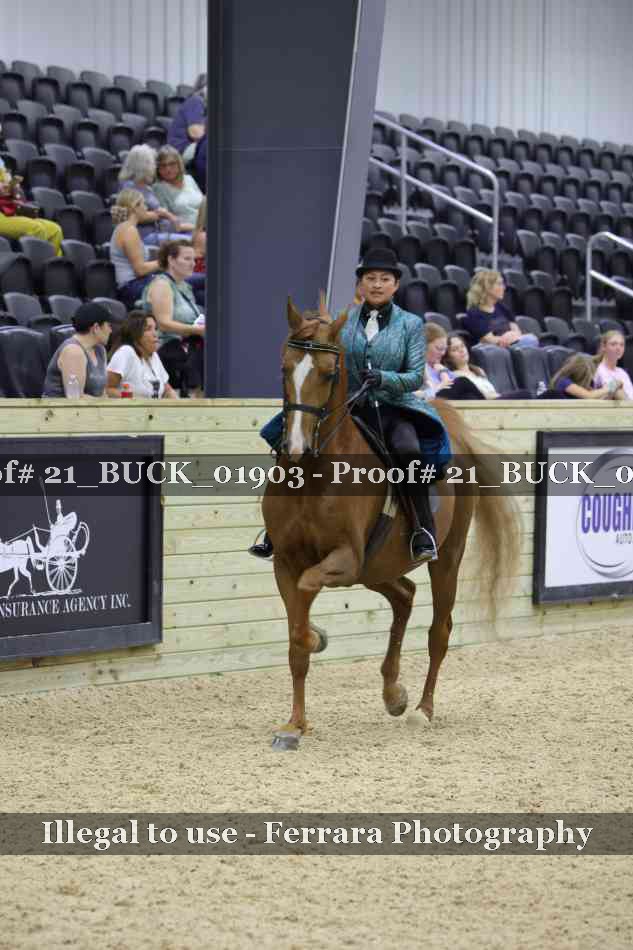 Proof Number 21_BUCK_01903