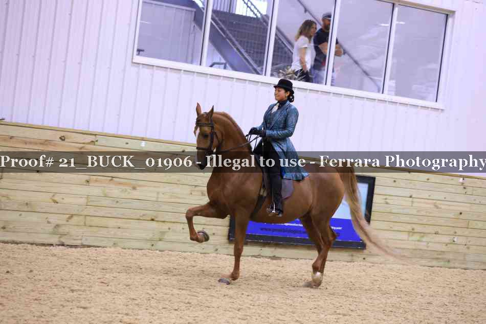Proof Number 21_BUCK_01906