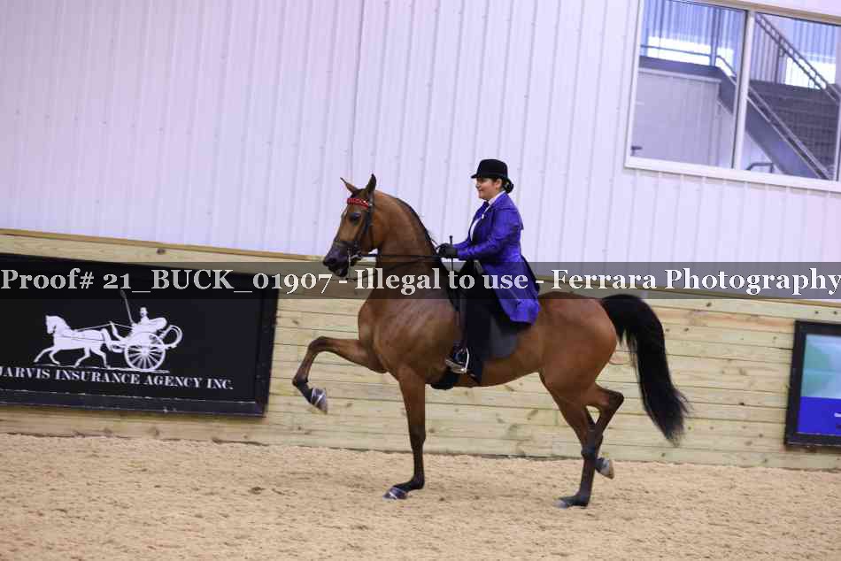 Proof Number 21_BUCK_01907