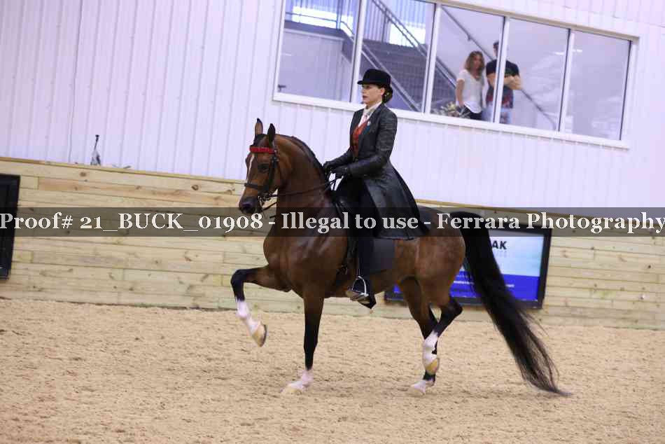 Proof Number 21_BUCK_01908