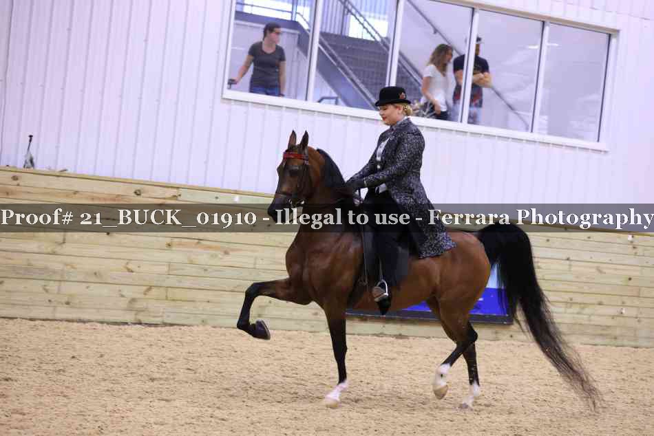 Proof Number 21_BUCK_01910