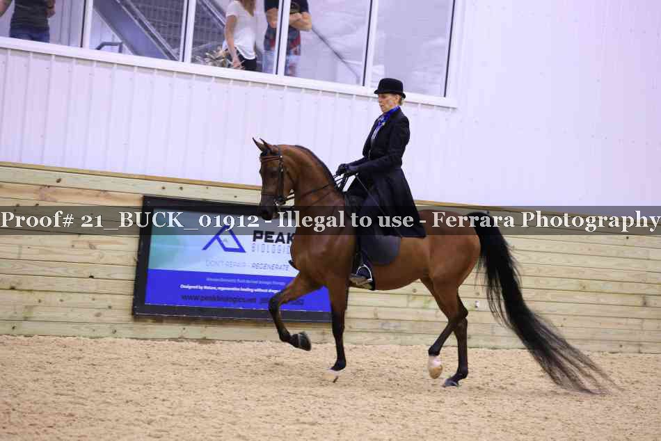 Proof Number 21_BUCK_01912