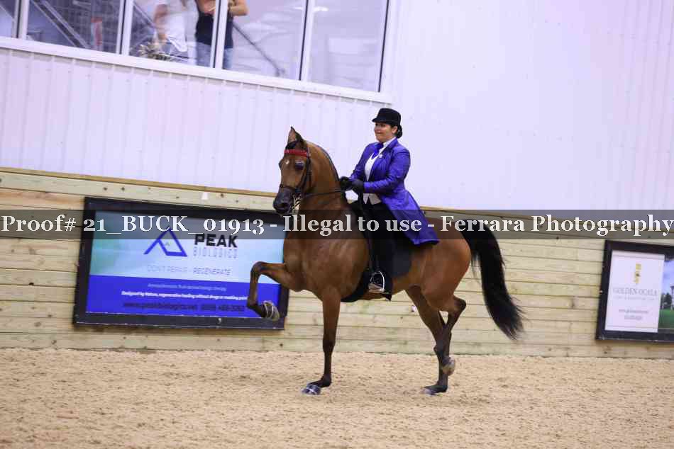 Proof Number 21_BUCK_01913