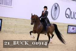 21_BUCK_01914 thumbnail