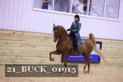 21_BUCK_01915 thumbnail