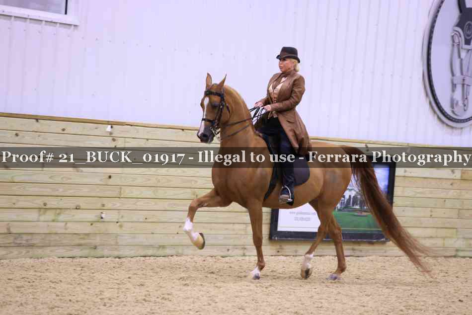 Proof Number 21_BUCK_01917