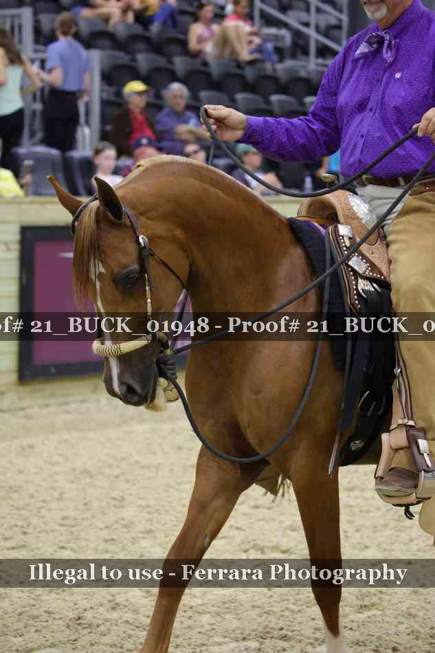 Proof Number 21_BUCK_01948