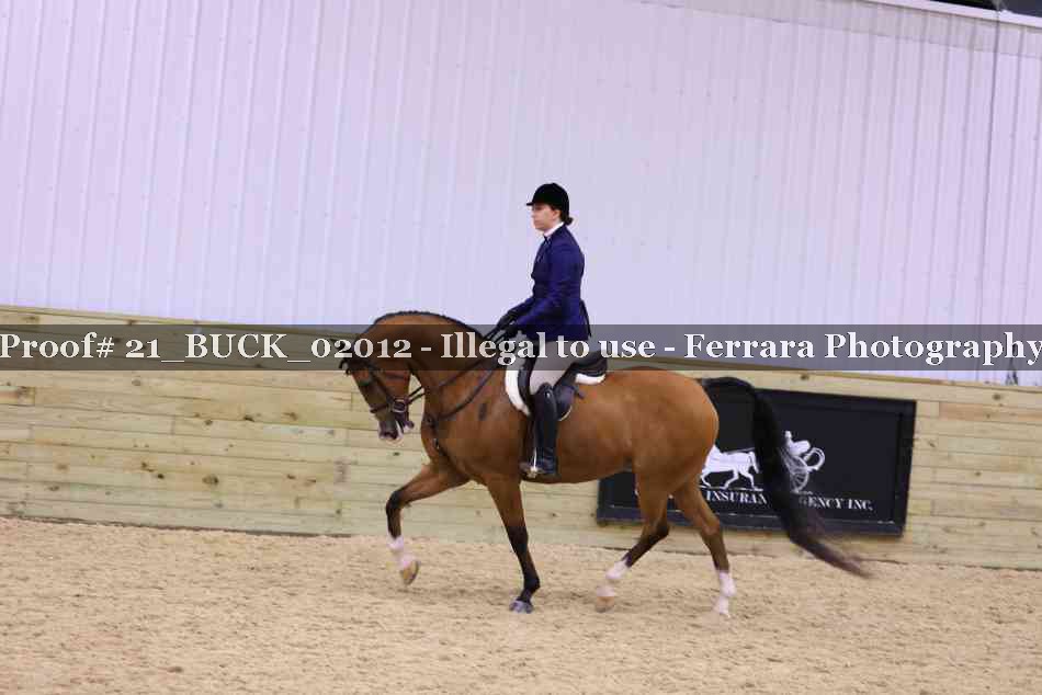 Proof Number 21_BUCK_02012