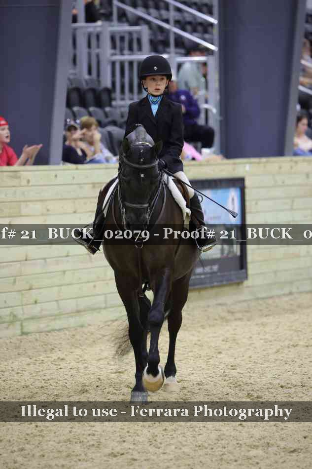 Proof Number 21_BUCK_02079