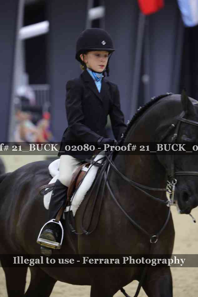 Proof Number 21_BUCK_02080