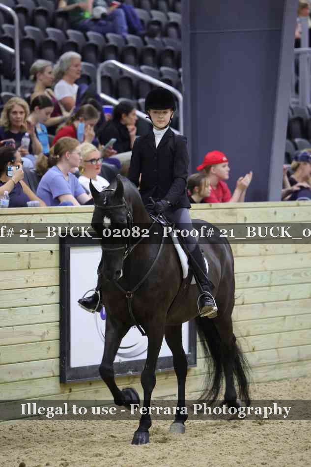 Proof Number 21_BUCK_02082