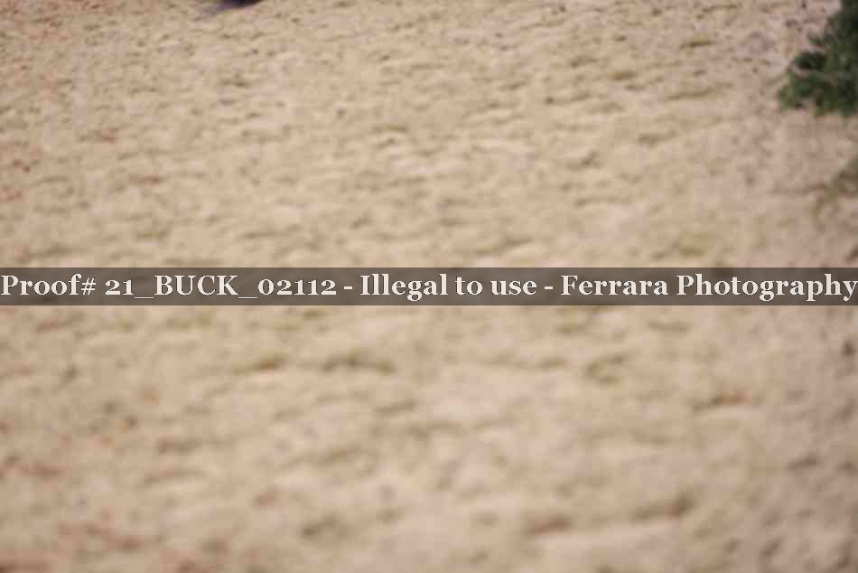 Proof Number 21_BUCK_02112