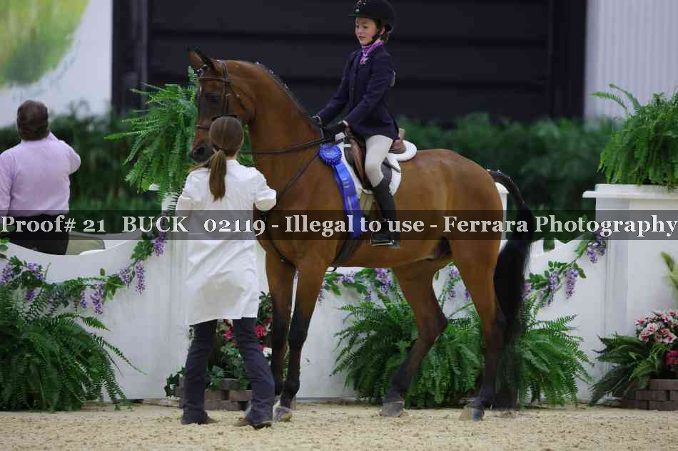 Proof Number 21_BUCK_02119