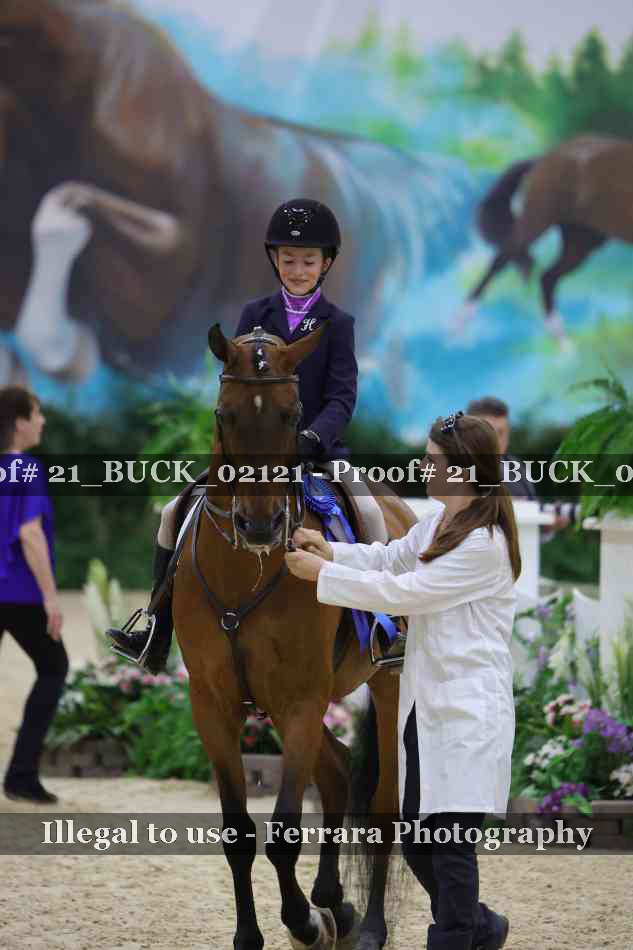 Proof Number 21_BUCK_02121