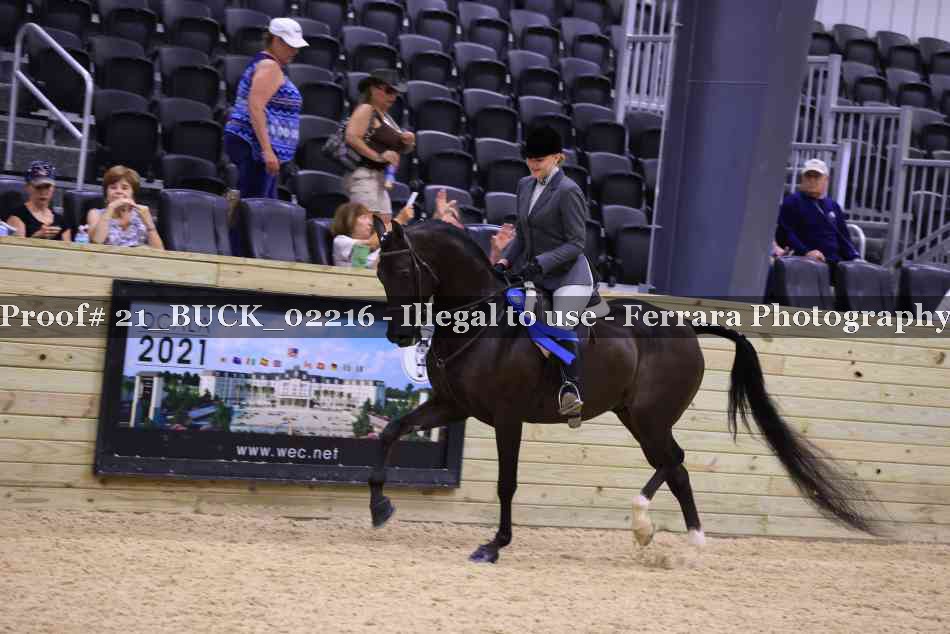 Proof Number 21_BUCK_02216