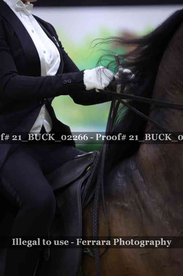 Proof Number 21_BUCK_02266