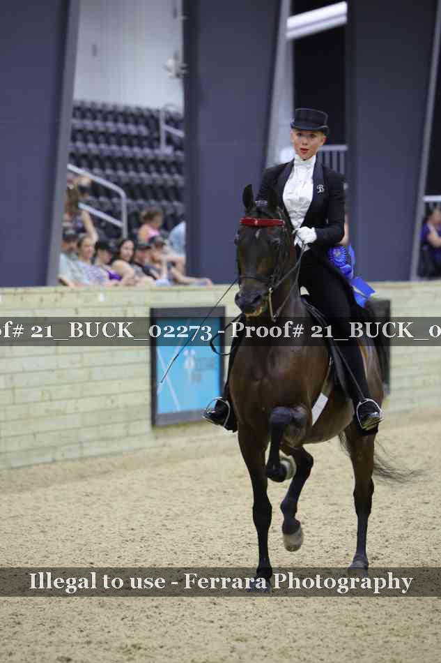 Proof Number 21_BUCK_02273