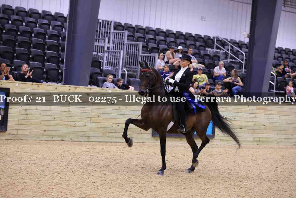 Proof Number 21_BUCK_02275
