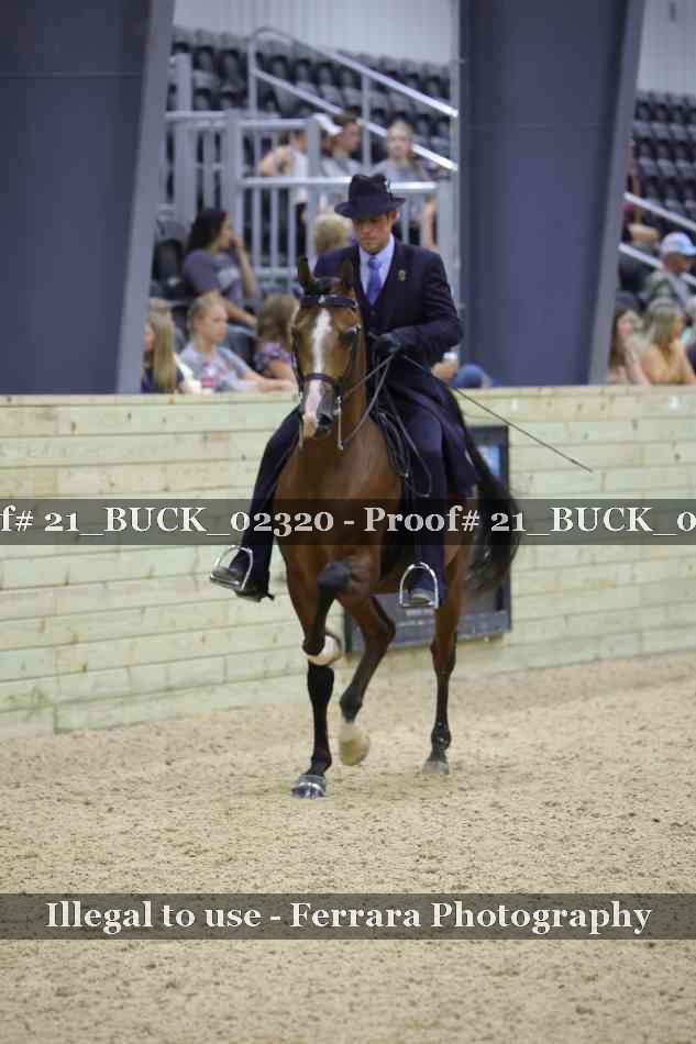 Proof Number 21_BUCK_02320