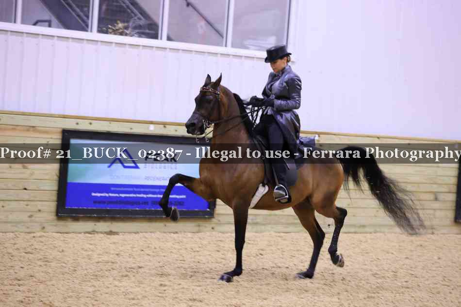 Proof Number 21_BUCK_02387
